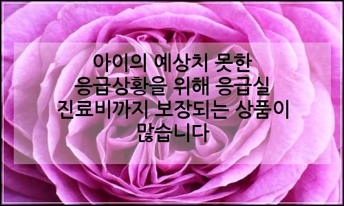 오늘의 이미지
