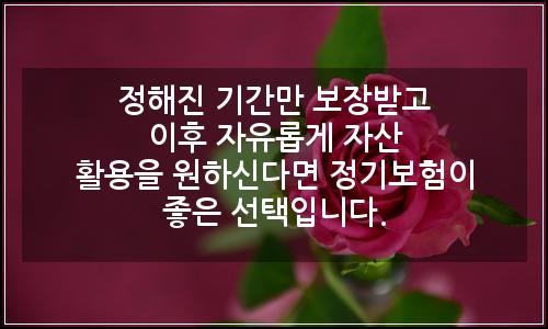 오늘의 이미지