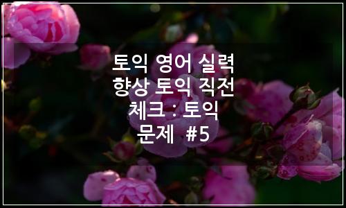 오늘의 이미지