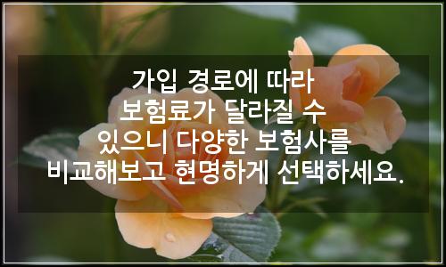 오늘의 이미지
