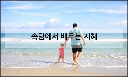오늘의 이미지