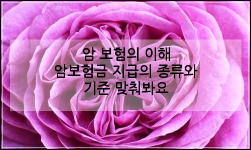 오늘의 이미지