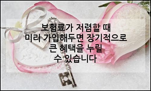 오늘의 이미지