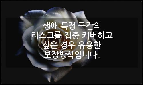 오늘의 이미지