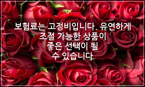 오늘의 이미지