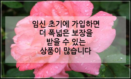 오늘의 이미지
