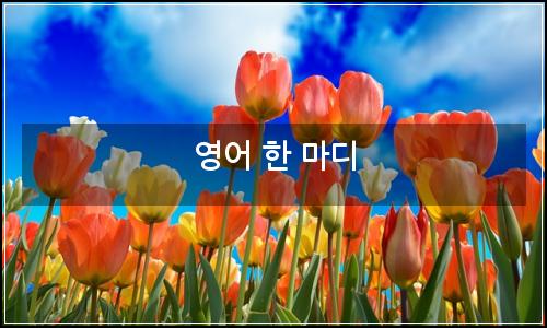 오늘의 이미지