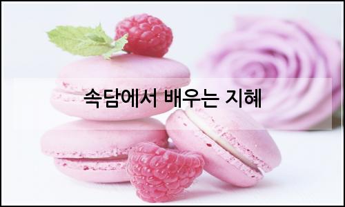 오늘의 이미지