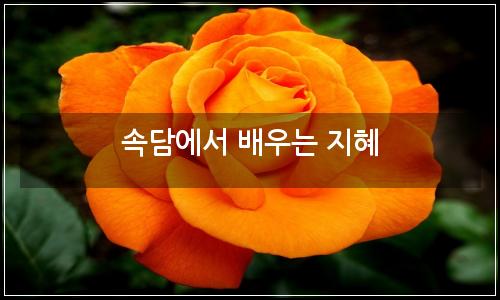 오늘의 이미지