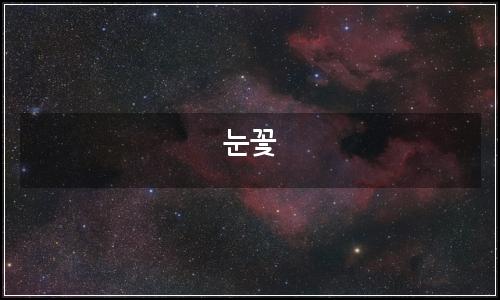 오늘의 이미지