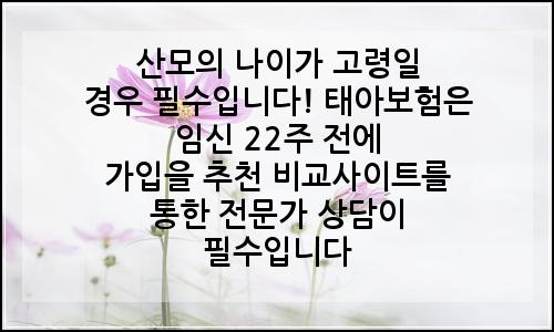 오늘의 이미지