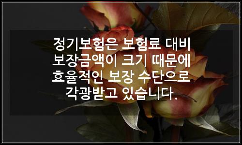 오늘의 이미지