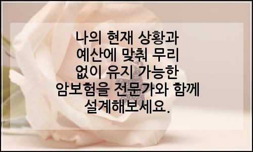 오늘의 이미지
