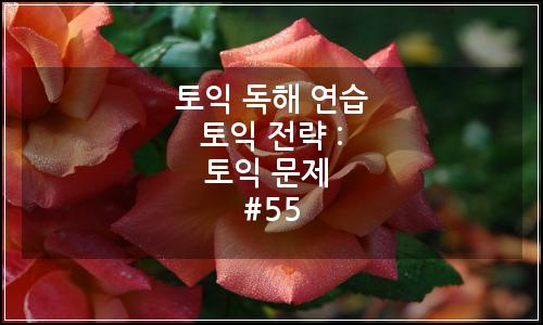 오늘의 이미지