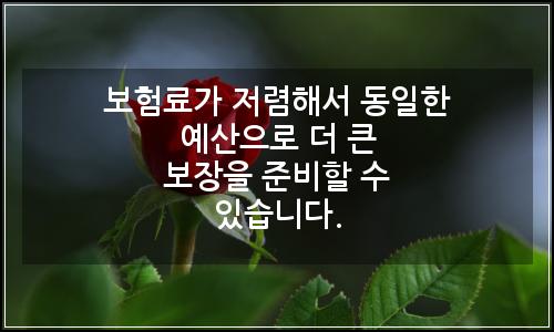 오늘의 이미지