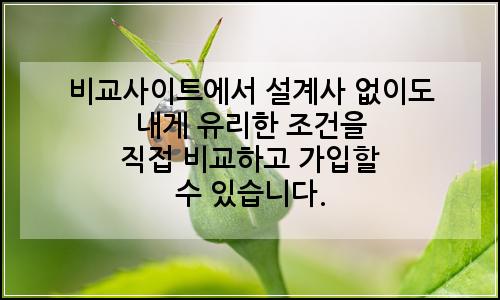 오늘의 이미지