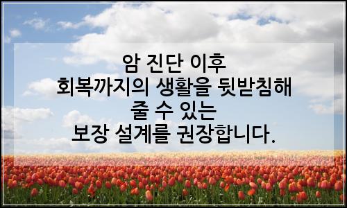 오늘의 이미지