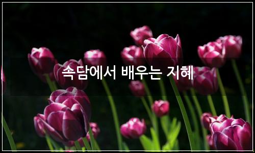 오늘의 이미지