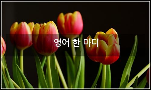 오늘의 이미지