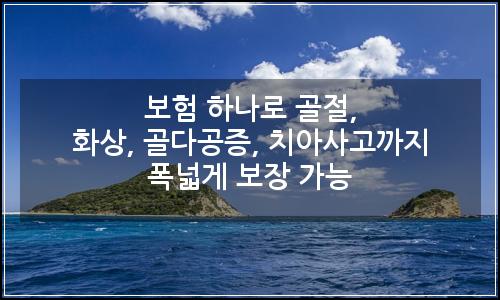 오늘의 이미지