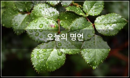 오늘의 이미지