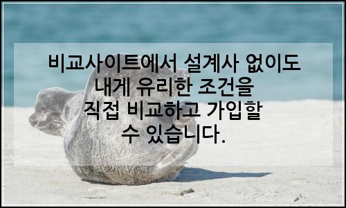 오늘의 이미지