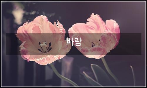 오늘의 이미지
