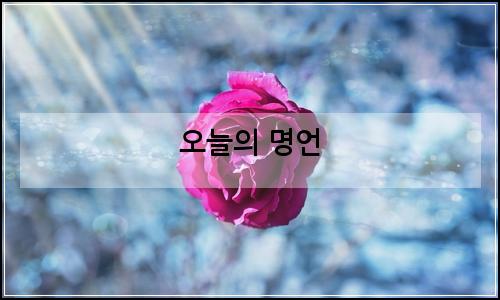 오늘의 이미지