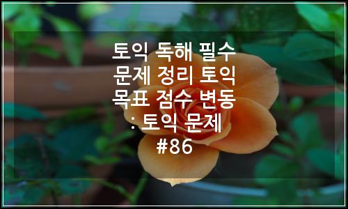 오늘의 이미지