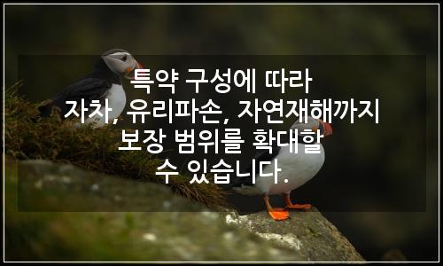 오늘의 이미지