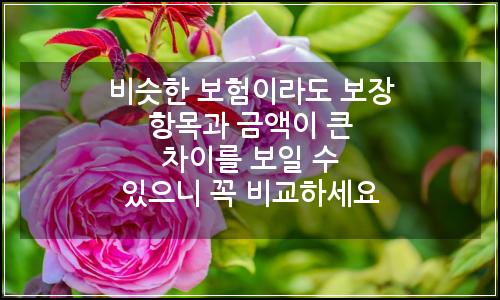 오늘의 이미지