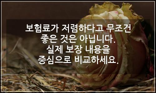 오늘의 이미지
