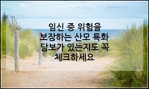 오늘의 이미지