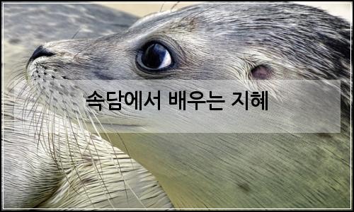 오늘의 이미지