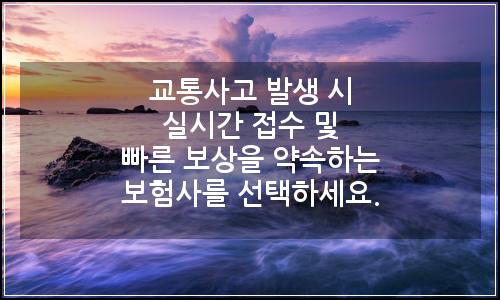 오늘의 이미지