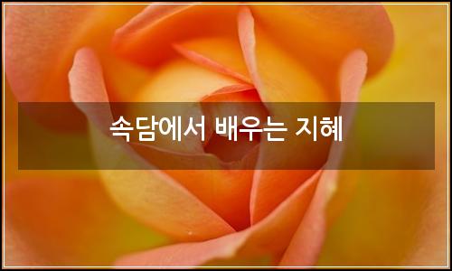 오늘의 이미지