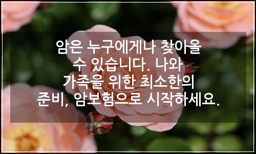 오늘의 이미지