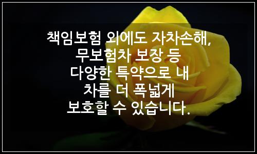 오늘의 이미지
