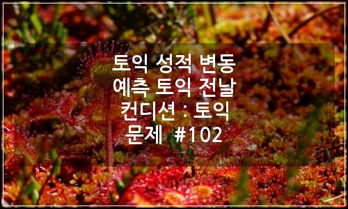 오늘의 이미지