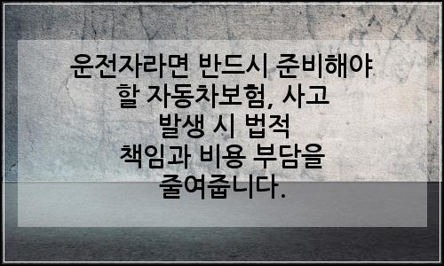오늘의 이미지