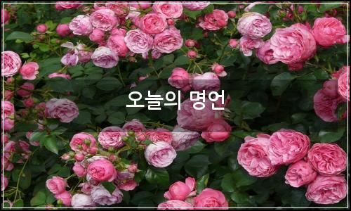 오늘의 이미지