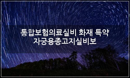 오늘의 이미지