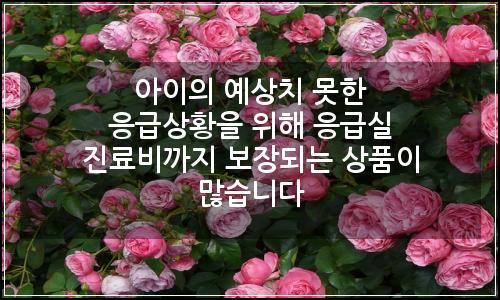 오늘의 이미지