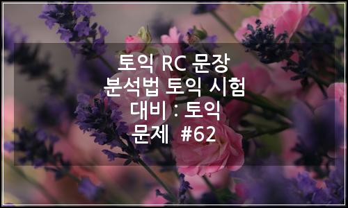 오늘의 이미지