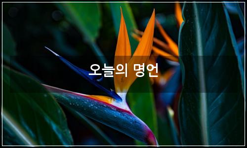 오늘의 이미지