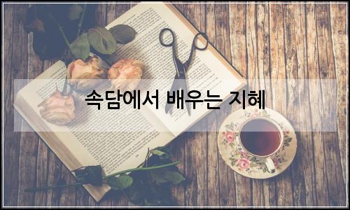 오늘의 이미지