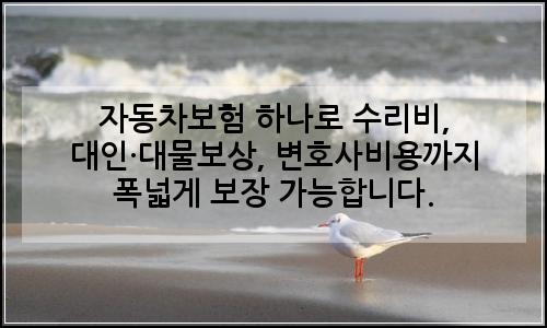 오늘의 이미지