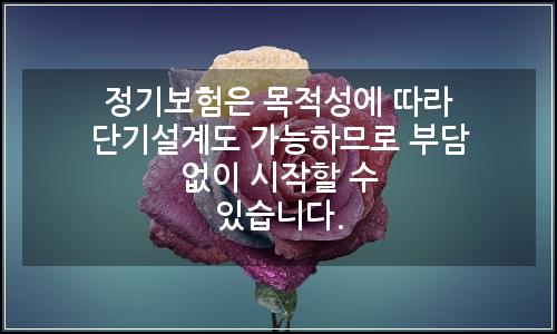 오늘의 이미지