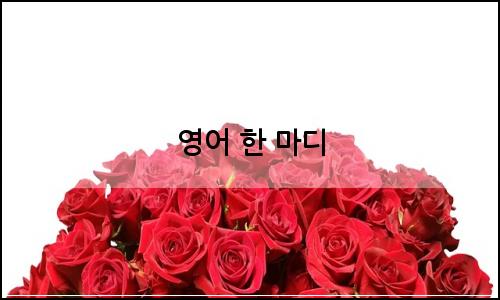 오늘의 이미지