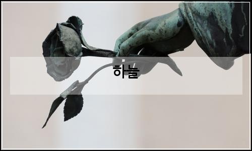 오늘의 이미지